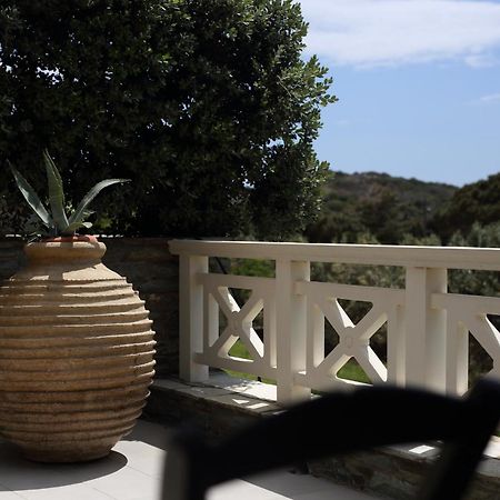 Villa Aithra -Agios Petros Andros Gavrio Esterno foto