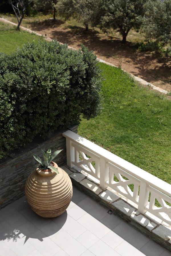 Villa Aithra -Agios Petros Andros Gavrio Esterno foto