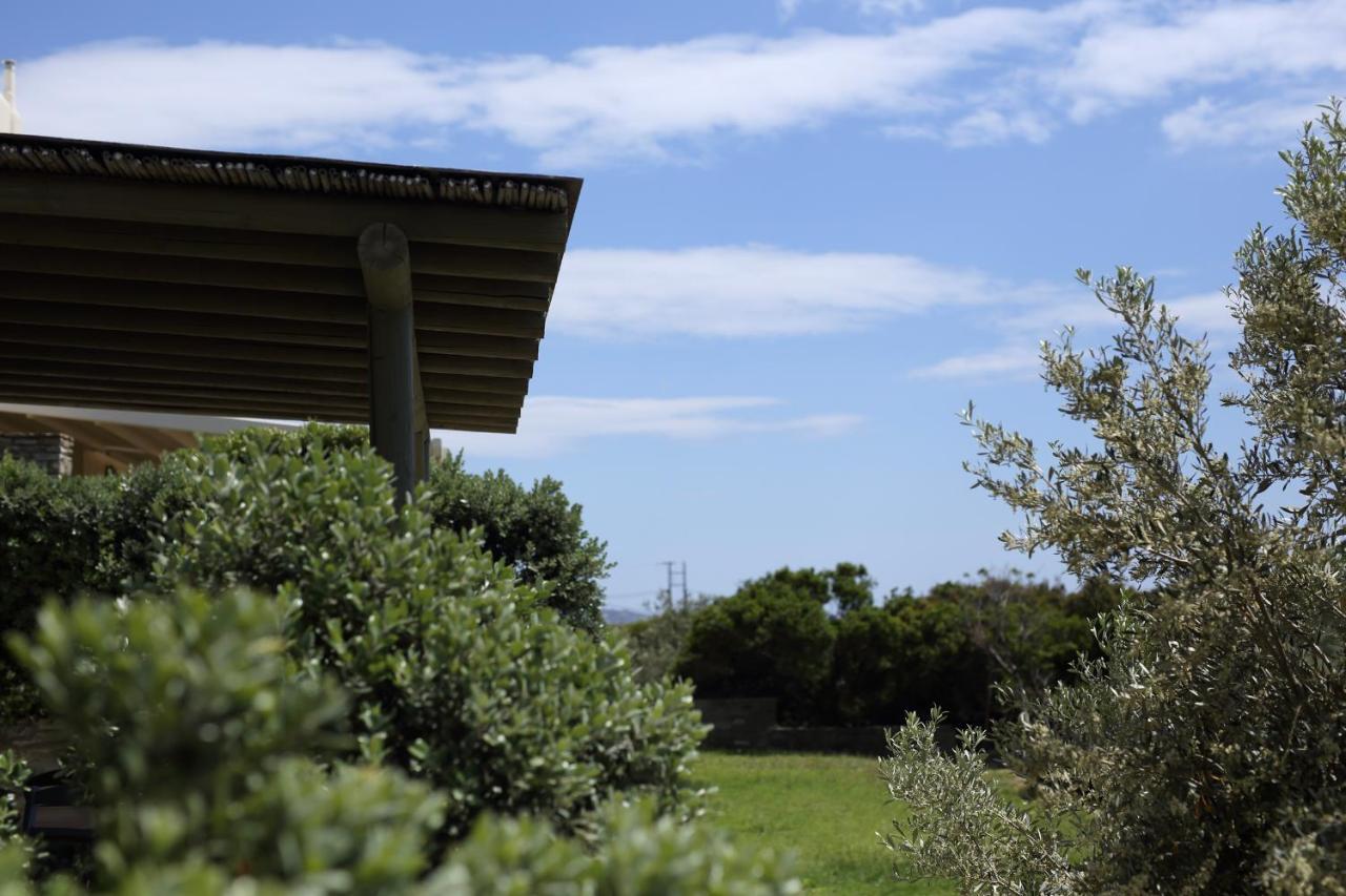 Villa Aithra -Agios Petros Andros Gavrio Esterno foto
