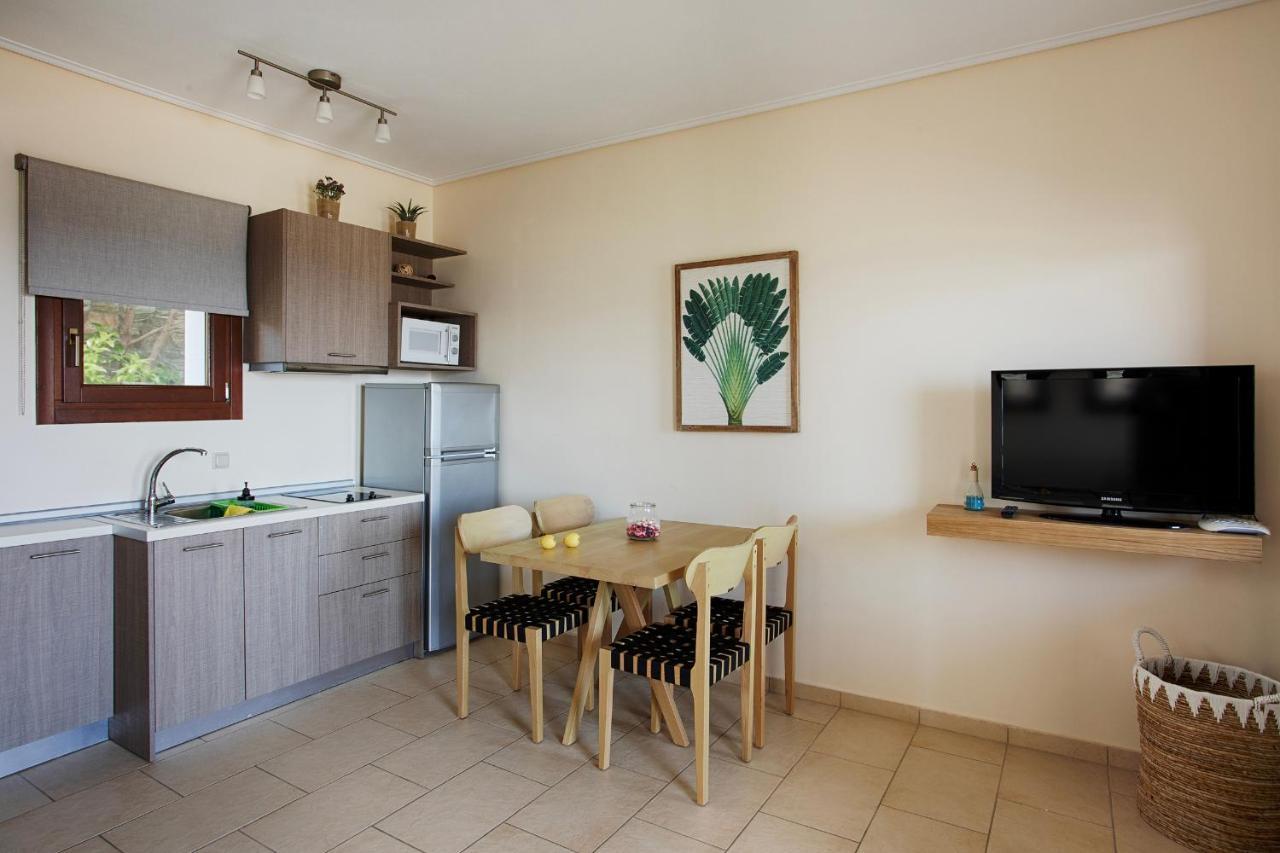 Villa Aithra -Agios Petros Andros Gavrio Esterno foto