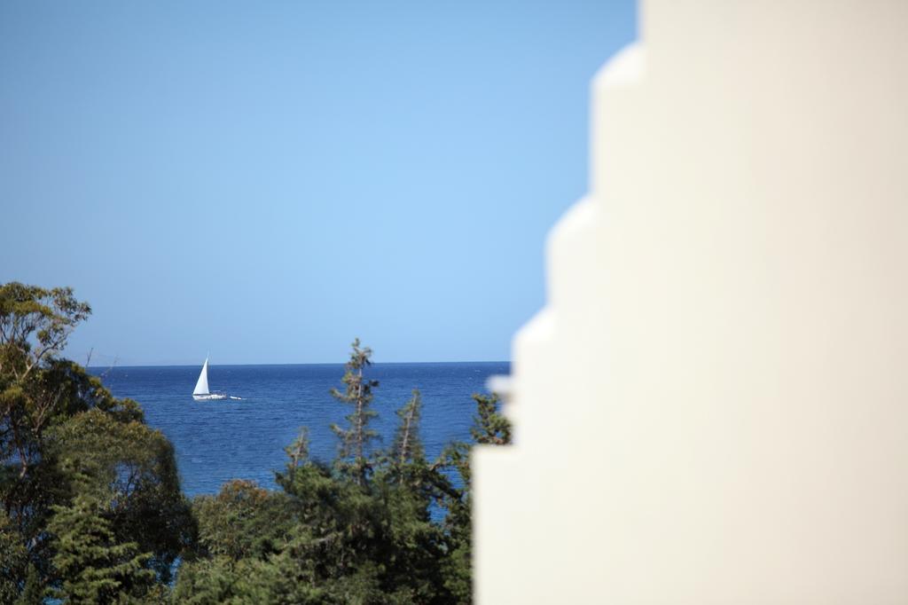 Villa Aithra -Agios Petros Andros Gavrio Esterno foto