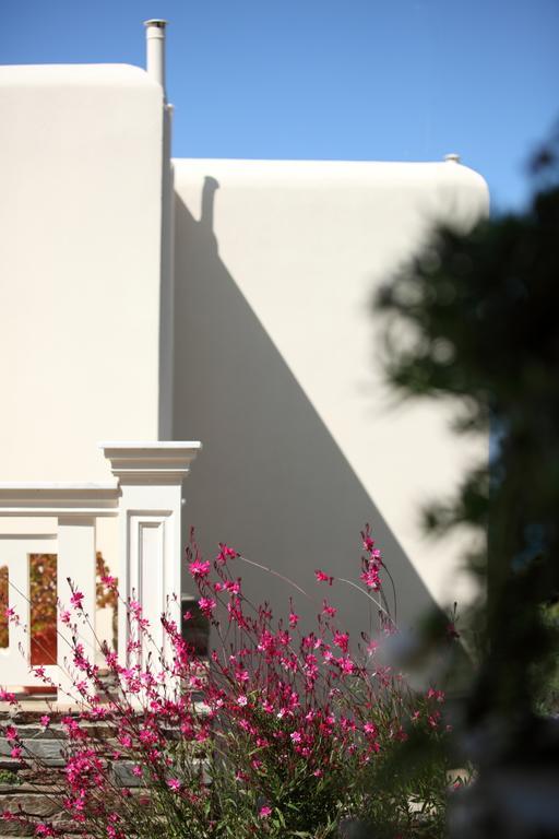 Villa Aithra -Agios Petros Andros Gavrio Esterno foto